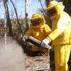 Set For Professional Beekeeping – API 600 / 700