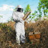 Protective Overalls For Beekeepers Sayro – API 100